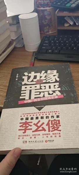 边缘罪恶，深度解读与文本下载探索之旅